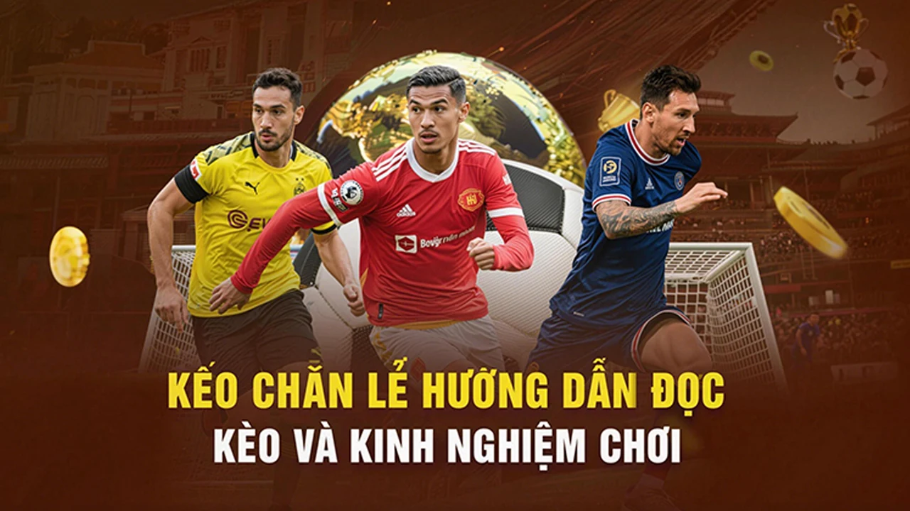 XỔ SỐ trên M88 – bước kiểm tra thực tế